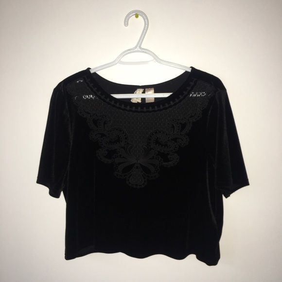 Embroidered Crop Top - Picture 1 of 2